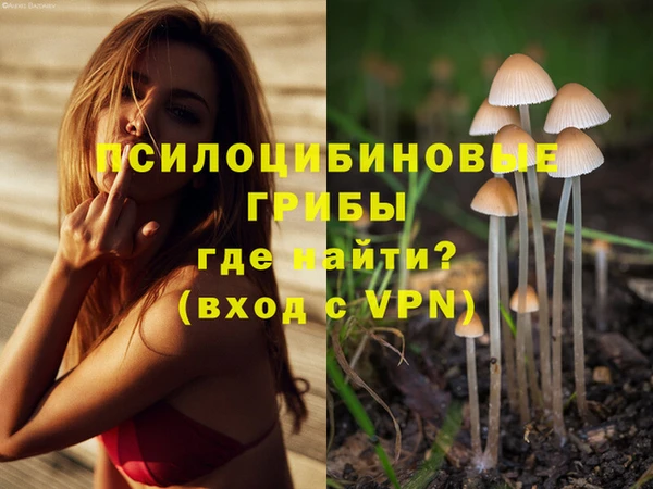 метадон Алзамай