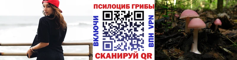 маркетплейс телеграм  ссылка на мегу как войти  Ардатов  Псилоцибиновые грибы прущие грибы 
